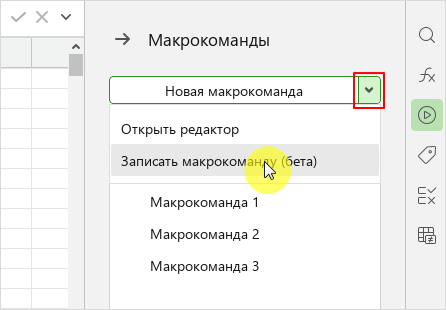 macros_rec_side_panel